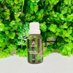 GEL ESTIMULANTE CHOCOMENTA 25ML