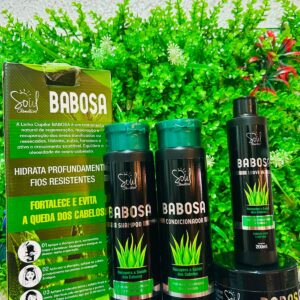 Kit Capilar de Babosa com 4 itens Soul Cosméticos